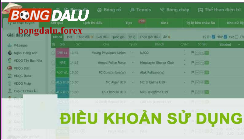 Quản lý tài khoản bongdalu.forex