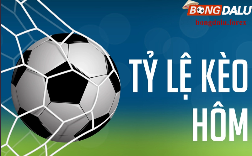 Giới thiệu về soi kèo bóng đá Copa trong diễn đàn bongdalu.forex